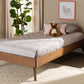 Baxton Studio Lissette Mid-Century Modern Ash Walnut Finished Wood Twin Size Platform Bed Frame | Modishstore | Beds