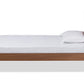 Baxton Studio Leola Mid-Century Modern Transitional Walnut Brown Finished Wood Twin Size Platform Bed | Beds | Modishstore - 3