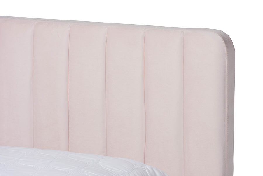 Baxton Studio Nami Modern Contemporary Glam and Luxe Light Pink Velvet Fabric Upholstered and Gold Finished Full Size Platform Bed | Beds | Modishstore - 5