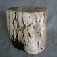 Petrified Wood Log Stool 18in (h) x 15in x 13in - 1123.22 | Petrified Wood Stools | Modishstore-2