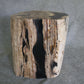 Petrified Wood Log Stool 18in (h) x 15in x 13in - 1123.22 | Petrified Wood Stools | Modishstore