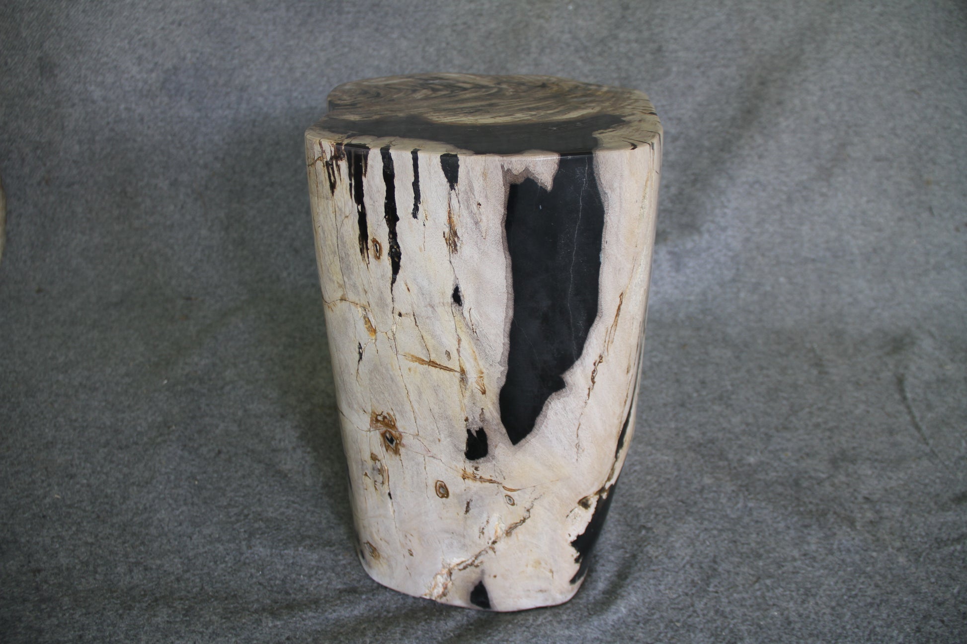 Petrified Wood Log Stool 18in (h) x 15in x 13in - 1123.22 | Petrified Wood Stools | Modishstore-3