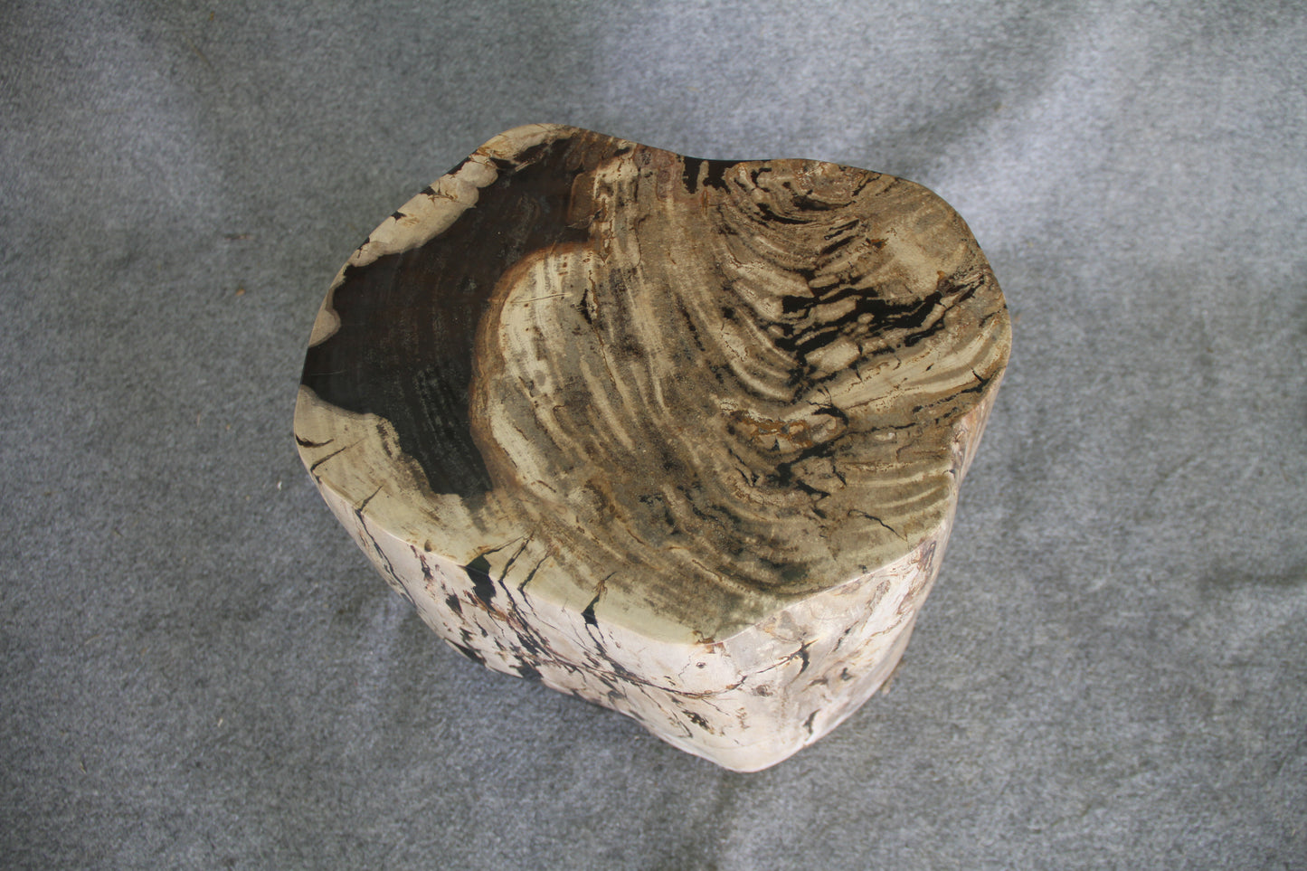 Petrified Wood Log Stool 18in (h) x 15in x 13in - 1123.22 | Petrified Wood Stools | Modishstore-5