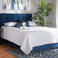 Baxton Studio Caprice Modern and Contemporary Glam Navy Blue Velvet Fabric Upholstered Queen Size Panel Bed | Beds | Modishstore