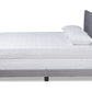 Baxton Studio Caprice Modern and Contemporary Glam Grey Velvet Fabric Upholstered Queen Size Panel Bed | Beds | Modishstore - 2