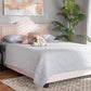 Baxton Studio Benjen Modern and Contemporary Glam Light Pink Velvet Fabric Upholstered Queen Size Panel Bed | Beds | Modishstore