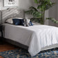 Baxton Studio Benjen Modern and Contemporary Glam Grey Velvet Fabric Upholstered Twin Size Panel Bed | Modishstore | Beds