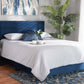 baxton studio tamira modern and contemporary glam navy blue velvet fabric upholstered queen size panel bed | Modish Furniture Store-2