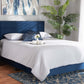 baxton studio tamira modern and contemporary glam navy blue velvet fabric upholstered full size panel bed | Modish Furniture Store-3