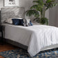 baxton studio tamira modern and contemporary glam grey velvet fabric upholstered twin size panel bed | Modish Furniture Store-2