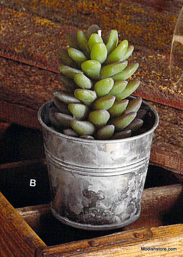 Roost Potted Succulent Candles