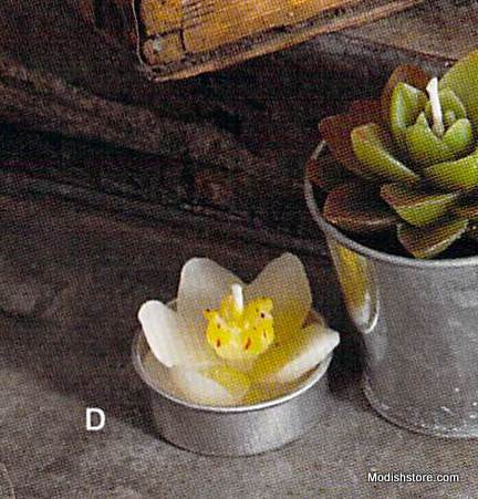 Roost Succulent Tealights