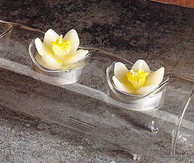 Roost Succulent Tealights