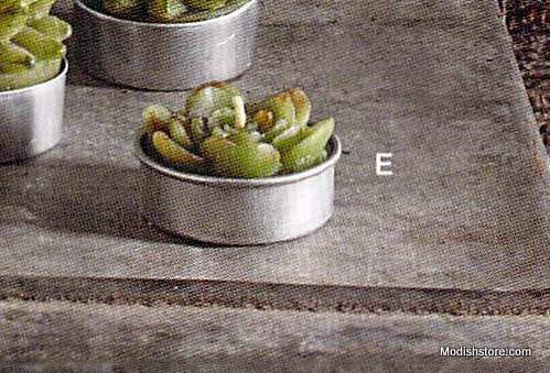 Roost Succulent Tealights