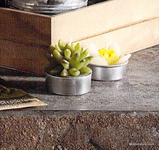 Roost Succulent Tealights