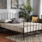 Baxton Studio Lana Modern and Contemporary Black Finished Metal Queen Size Platform Bed | Modishstore | Beds