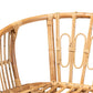 Baxton Studio Luxio Modern and Contemporary Natural Finished Rattan Dining Chair | Dining Chairs | Modishstore - 4