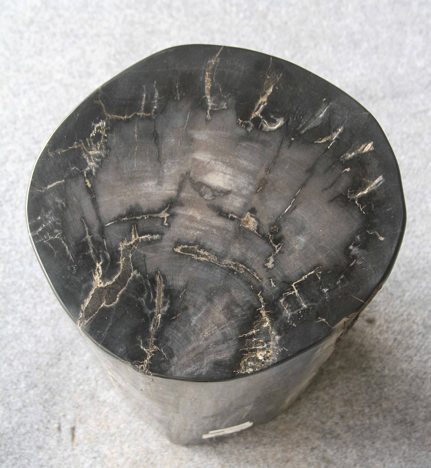 Petrified Wood Log Stool 13" x 12" x19"H -PFST1198/20-2