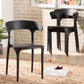 Baxton Studio Gould Modern Transtional Beige Plastic 4-Piece Dining Chair Set | Dining Chairs | Modishstore - 7