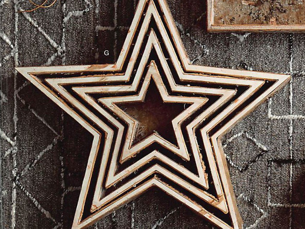 Roost Birch Shaped Trays - Star - Set Of 4