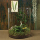 HomArt Emerson Grand Glass Cylinder Vase-3