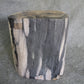 Petrified Wood Log Stool 18in (h) x 15in x 14in - 1223.22 | Petrified Wood Stools | Modishstore