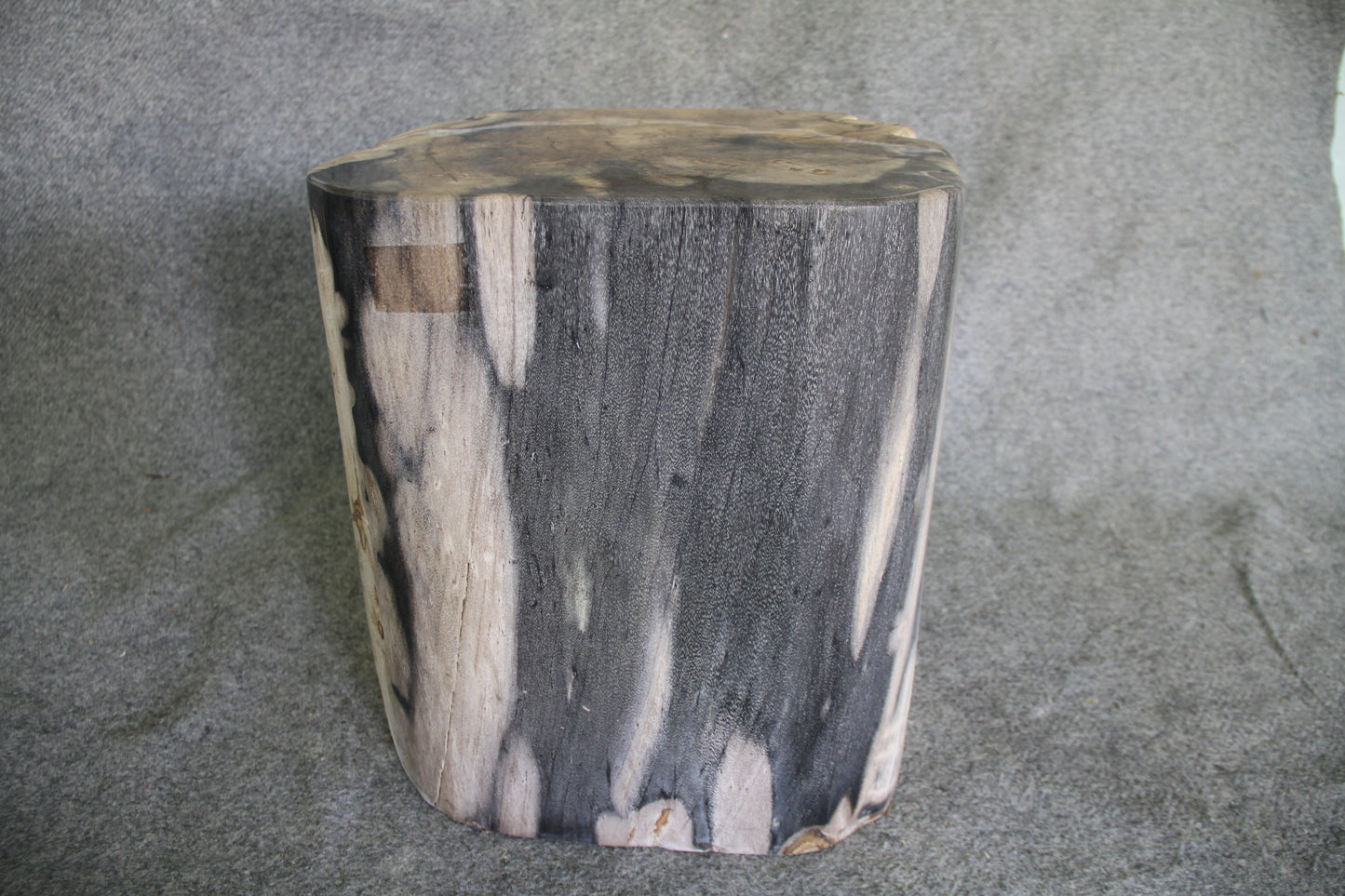 Petrified Wood Log Stool 18in (h) x 15in x 14in - 1223.22 | Petrified Wood Stools | Modishstore