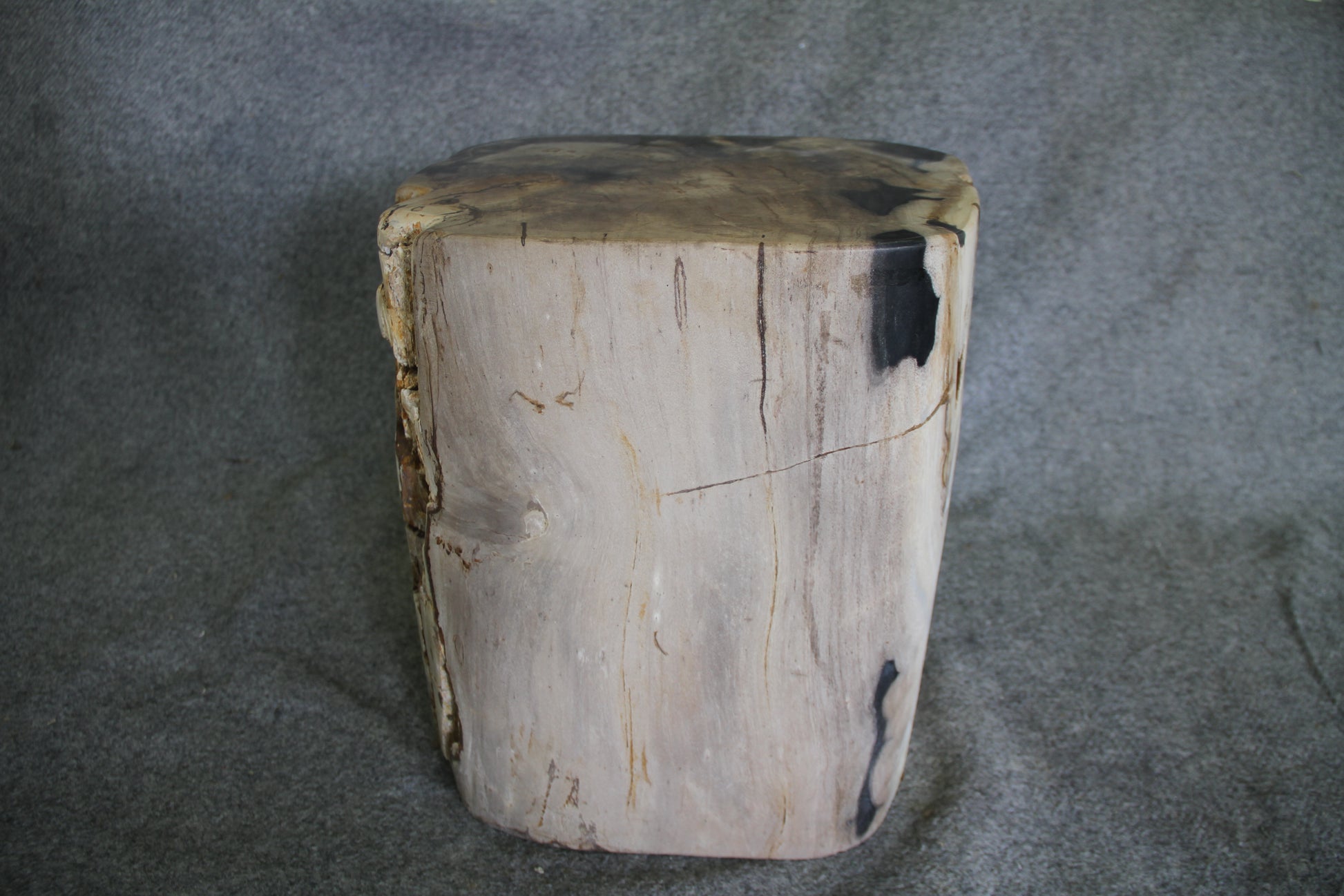Petrified Wood Log Stool 18in (h) x 15in x 14in - 1223.22 | Petrified Wood Stools | Modishstore-4