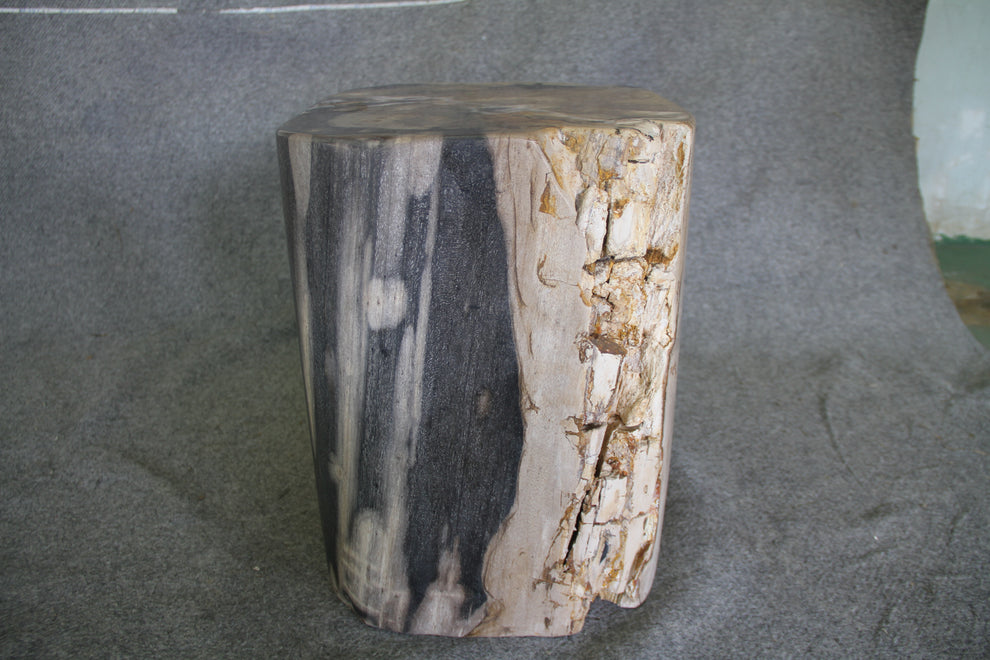 Petrified Wood Log Stool 18in (h) x 15in x 14in - 1223.22 | Petrified Wood Stools | Modishstore-2