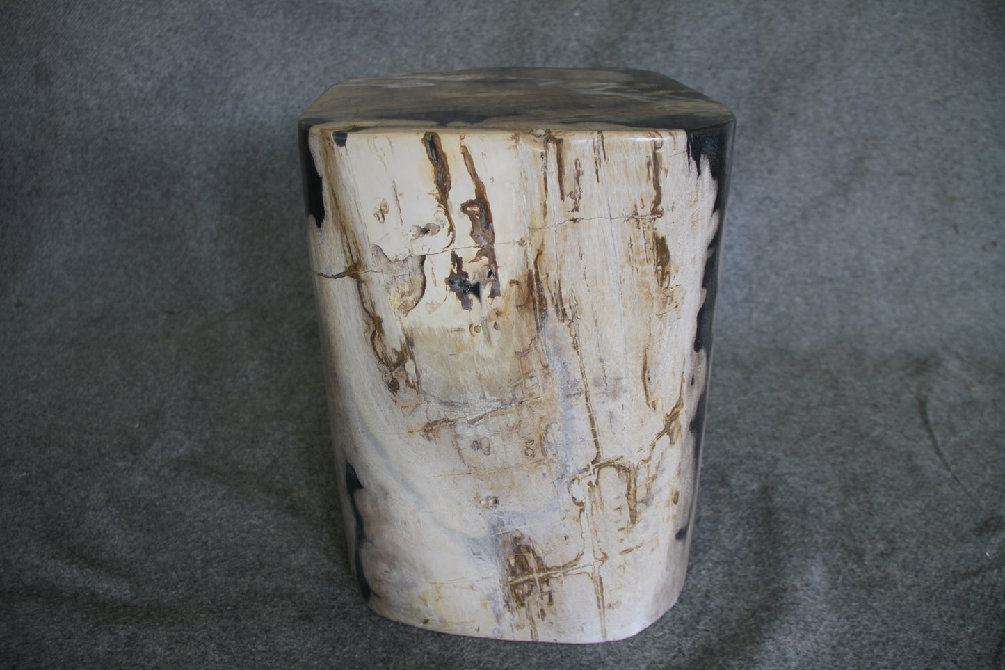Petrified Wood Log Stool 18in (h) x 15in x 14in - 1223.22 | Petrified Wood Stools | Modishstore-3