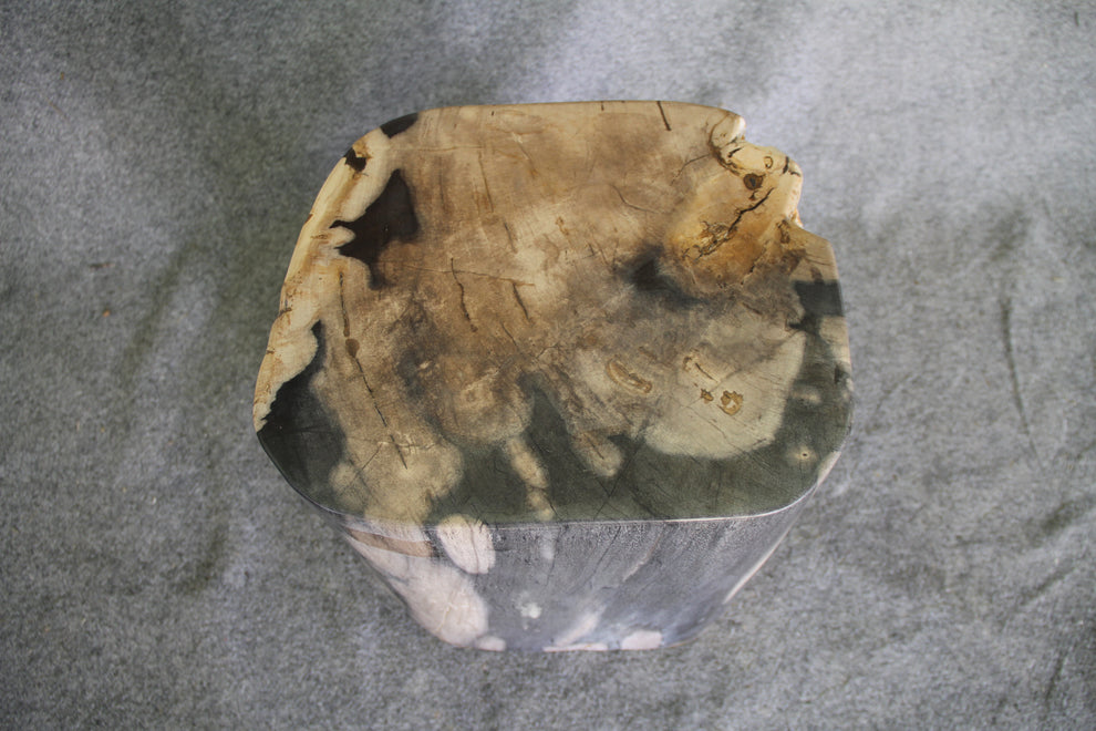 Petrified Wood Log Stool 18in (h) x 15in x 14in - 1223.22 | Petrified Wood Stools | Modishstore-5