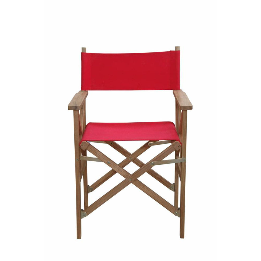 Director Folding Armchair W/ Canvas Sold As A Pair By Anderson Teak | Outdoor Chairs | Modishstore - 3
