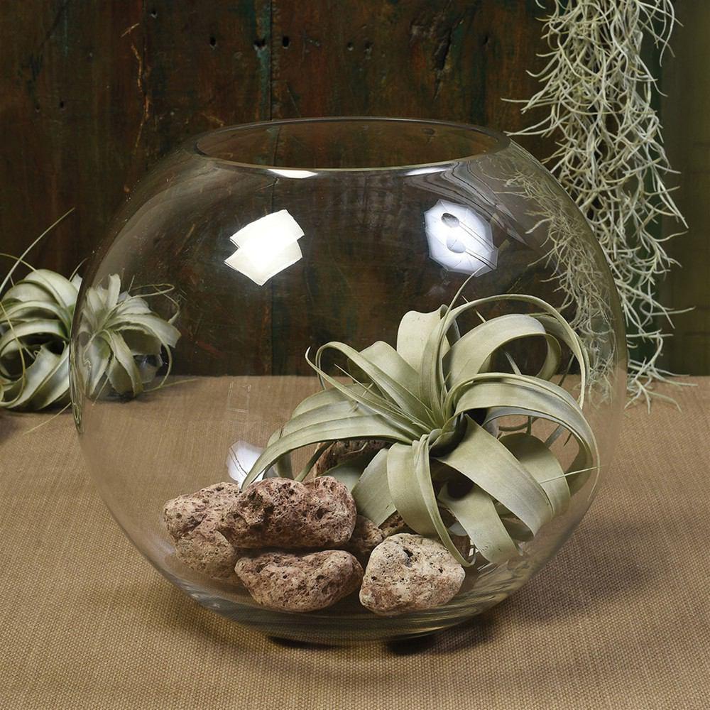 HomArt Glass Sphere Bowl - Feature Image | Modishstore | Decorative Bowls