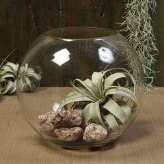Glass Sphere Bowl By HomArt