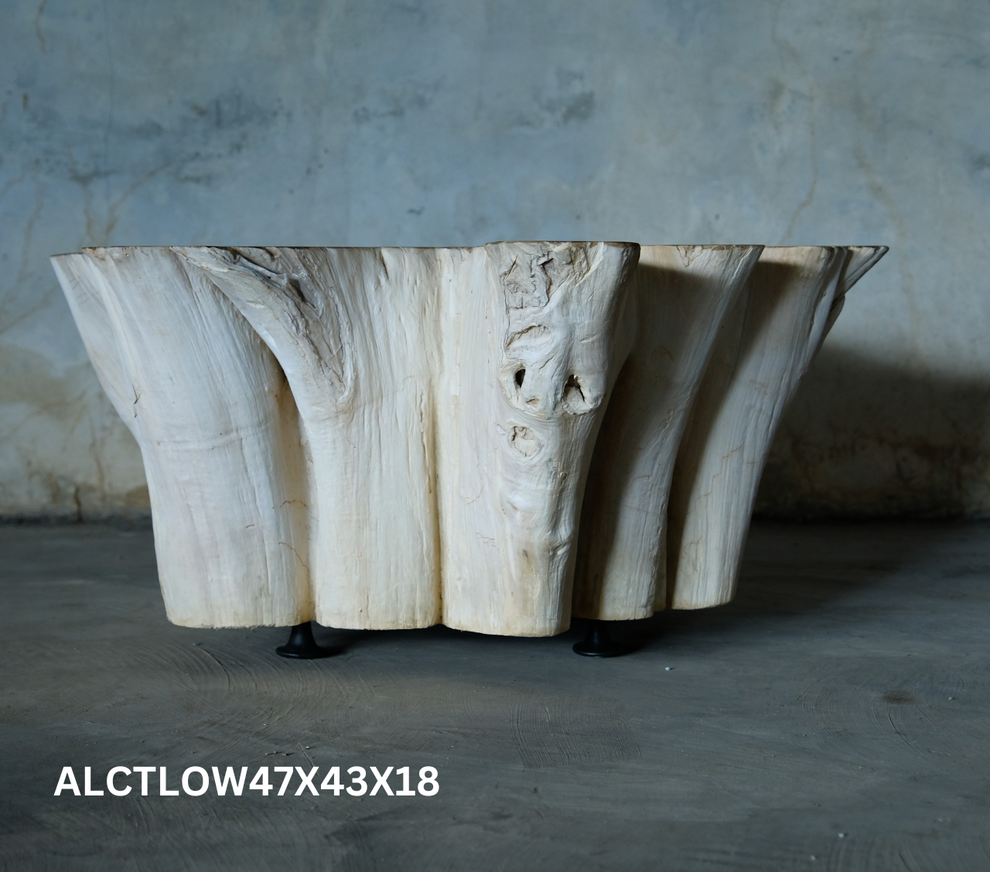 Antique Teak Thick Slab Coffee Table- 2 Variants- by Artisan Living | Coffee Tables | Modishstore-7