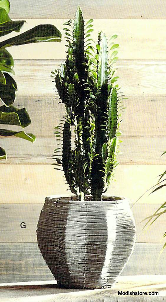 Roost Mireval Wood Strip Planters