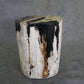 Petrified Wood Log Stool 12 x 9 x 17 - 1402.21 | Petrified Wood Stools | Modishstore
