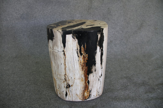 Petrified Wood Log Stool 12 x 9 x 17 - 1402.21 | Petrified Wood Stools | Modishstore