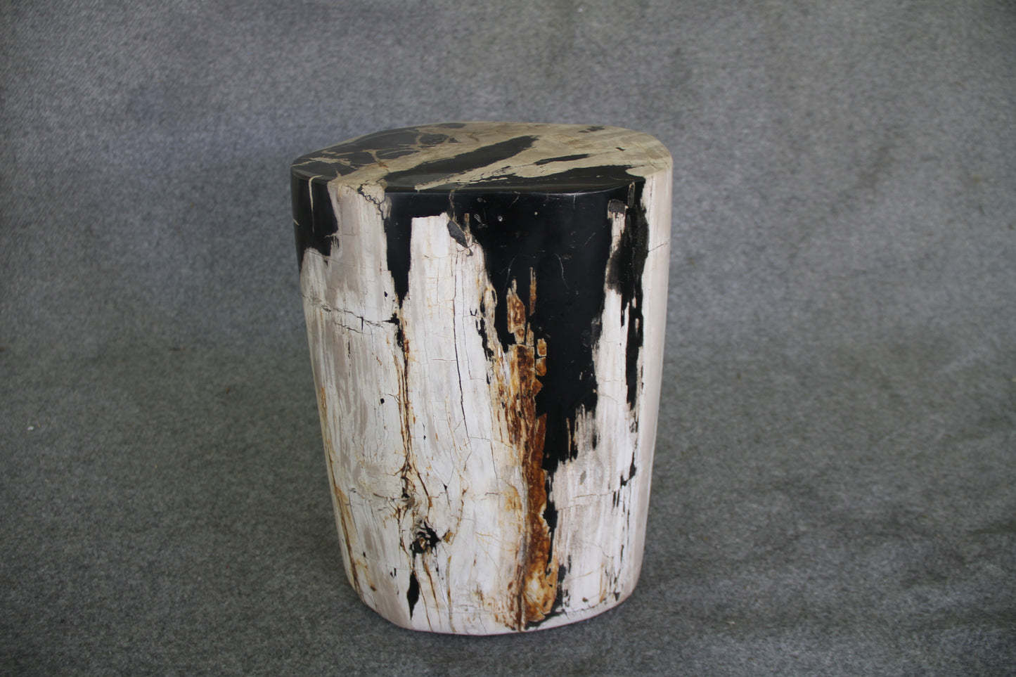 Petrified Wood Log Stool 12 x 9 x 17 - 1402.21 | Petrified Wood Stools | Modishstore