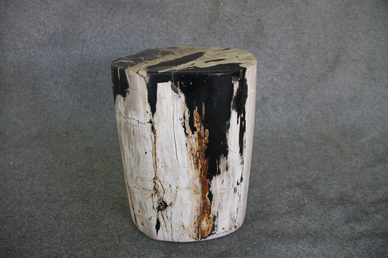 Petrified Wood Log Stool 12 x 9 x 17 - 1402.21 | Petrified Wood Stools | Modishstore