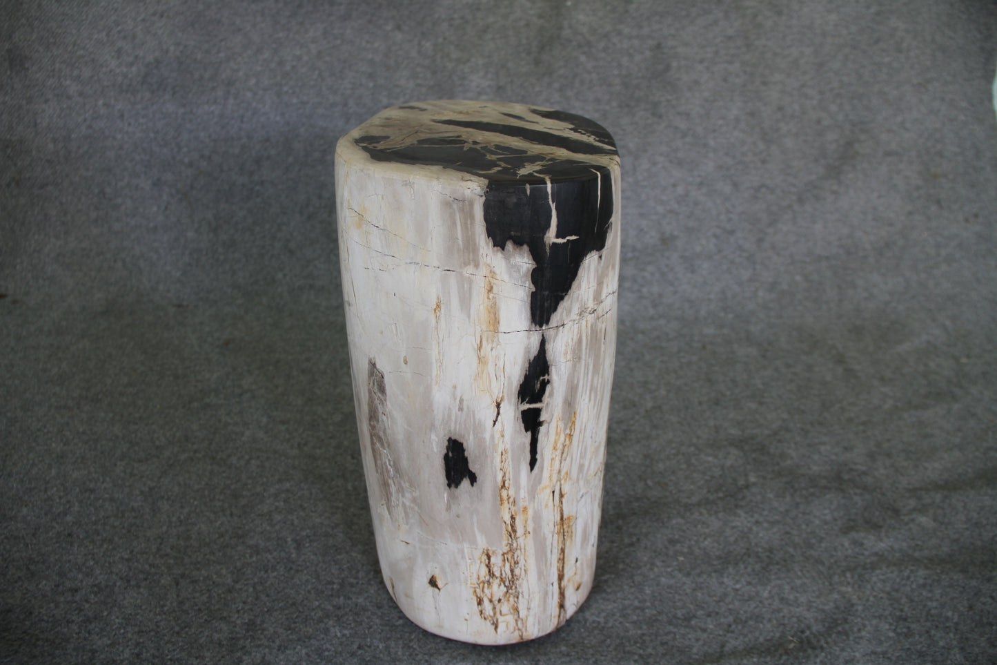 Petrified Wood Log Stool 12 x 9 x 17 - 1402.21 | Petrified Wood Stools | Modishstore-3