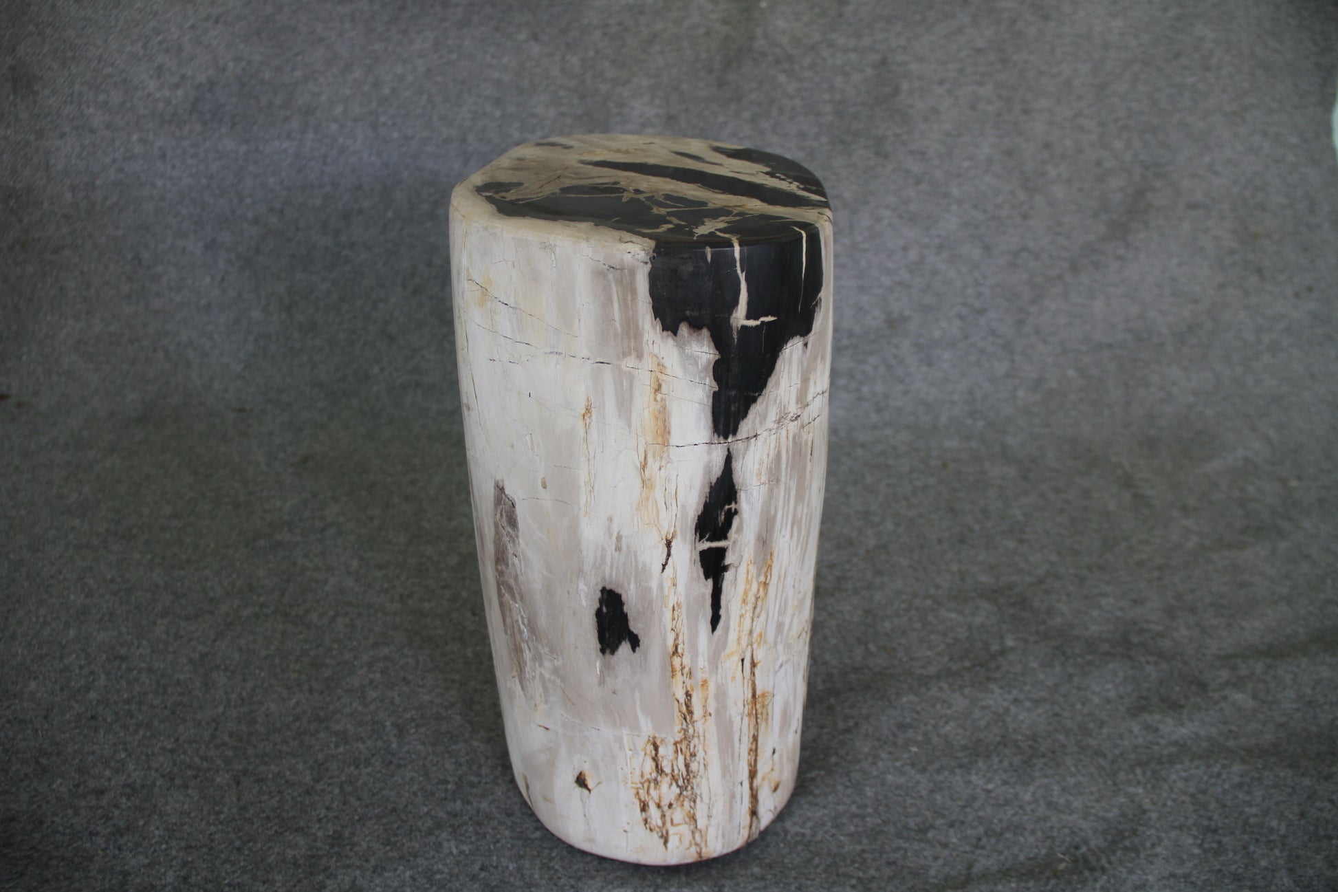 Petrified Wood Log Stool 12 x 9 x 17 - 1402.21 | Petrified Wood Stools | Modishstore-3