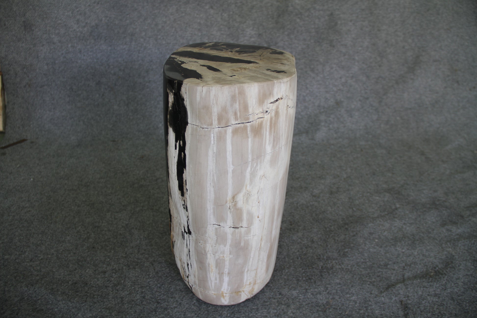Petrified Wood Log Stool 12 x 9 x 17 - 1402.21 | Petrified Wood Stools | Modishstore-2