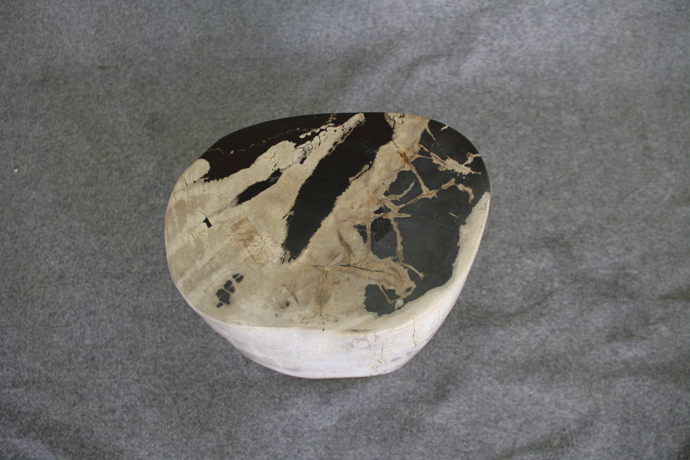 Petrified Wood Log Stool 12 x 9 x 17 - 1402.21 | Petrified Wood Stools | Modishstore-5