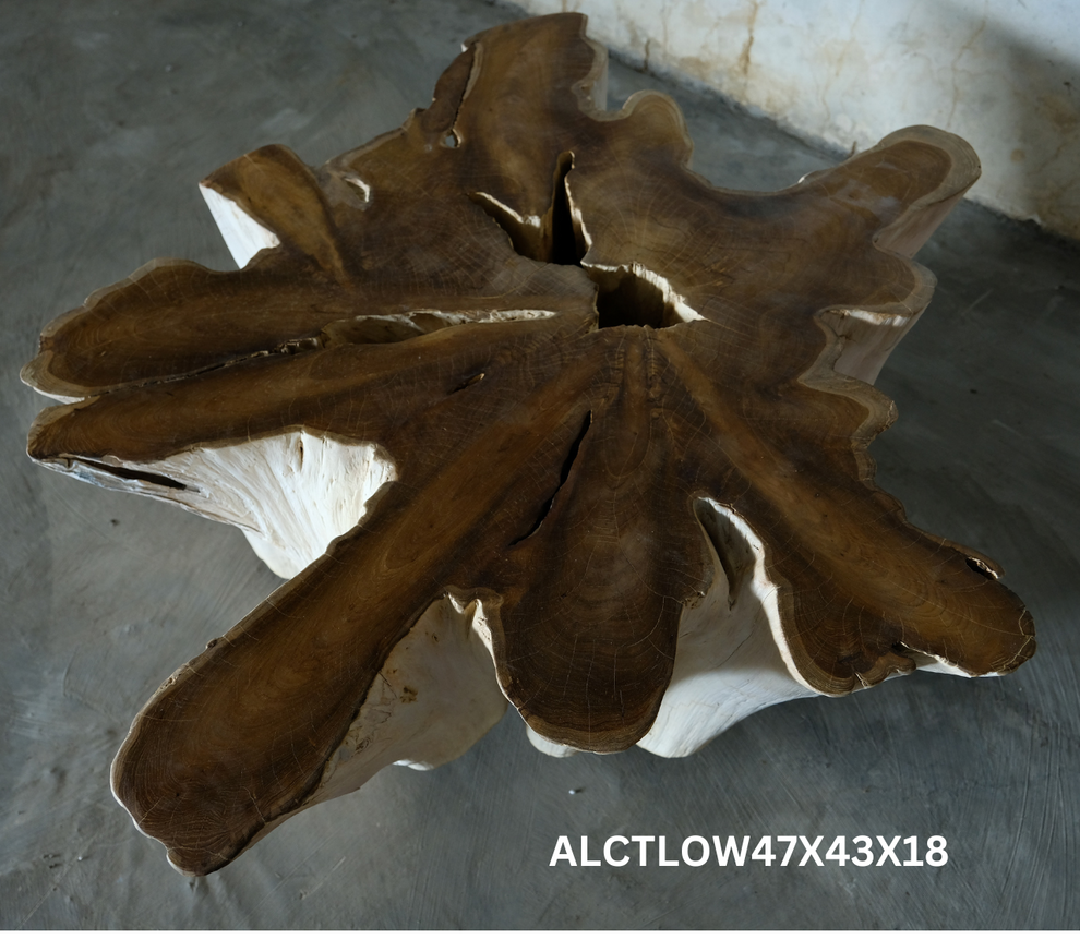 Antique Teak Thick Slab Coffee Table- 2 Variants- by Artisan Living | Coffee Tables | Modishstore-6