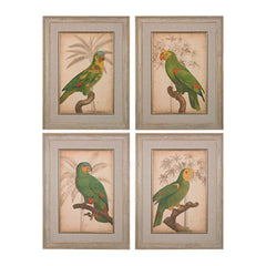 Sterling Industries Parrot And Palm I, II, III, IV - Fine Art Giclee Under Glass