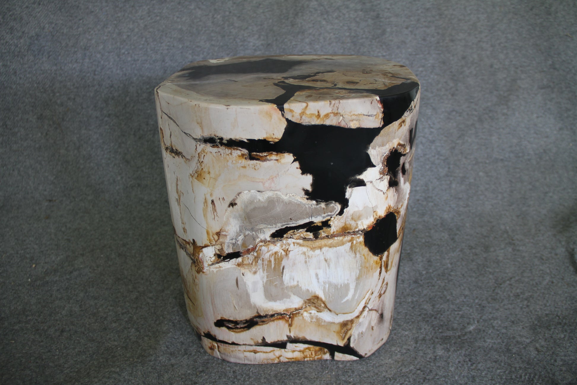Petrified Wood Log Stool 16in(h) x 13in x 12in - 1534.22 | Petrified Wood Stools | Modishstore-5