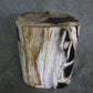 Petrified Wood Log Stool 16in(h) x 13in x 12in - 1534.22 | Petrified Wood Stools | Modishstore-2