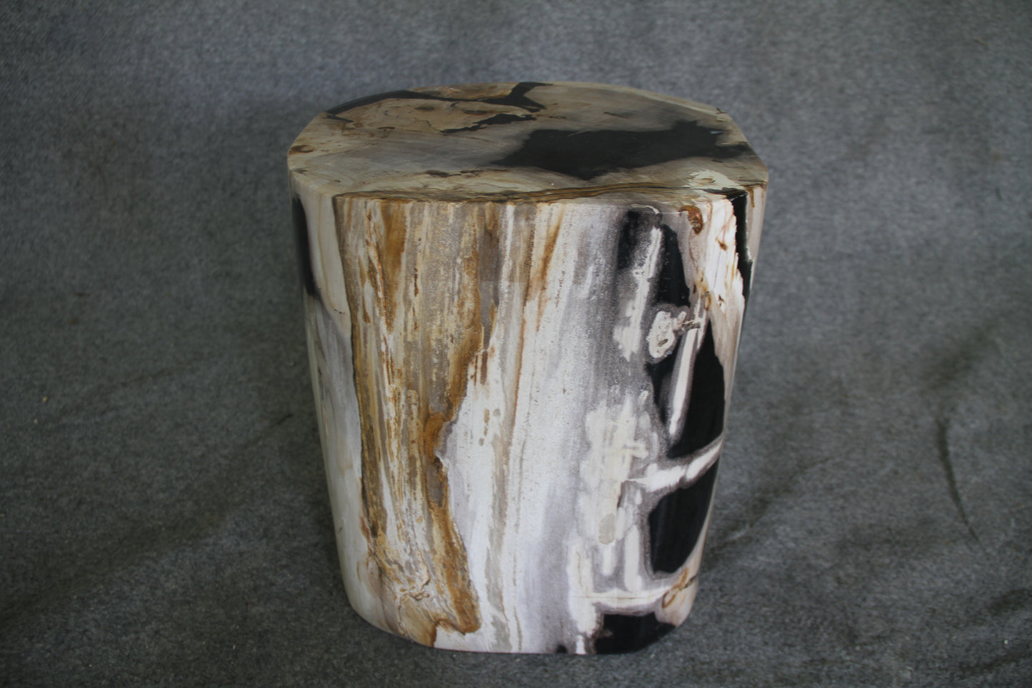 Petrified Wood Log Stool 16in(h) x 13in x 12in - 1534.22 | Petrified Wood Stools | Modishstore-2