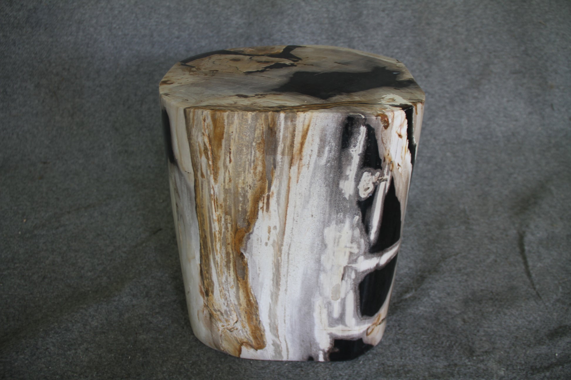 Petrified Wood Log Stool 16in(h) x 13in x 12in - 1534.22 | Petrified Wood Stools | Modishstore-2